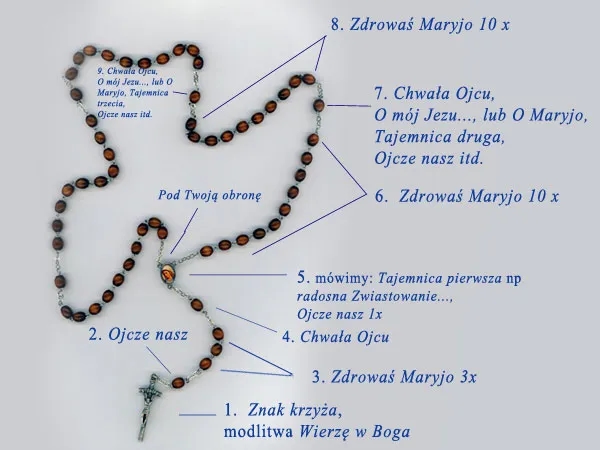 Jakie modlitwy odmawia się na różańcu? Kolejność i znaczenie modlitw różańcowych
